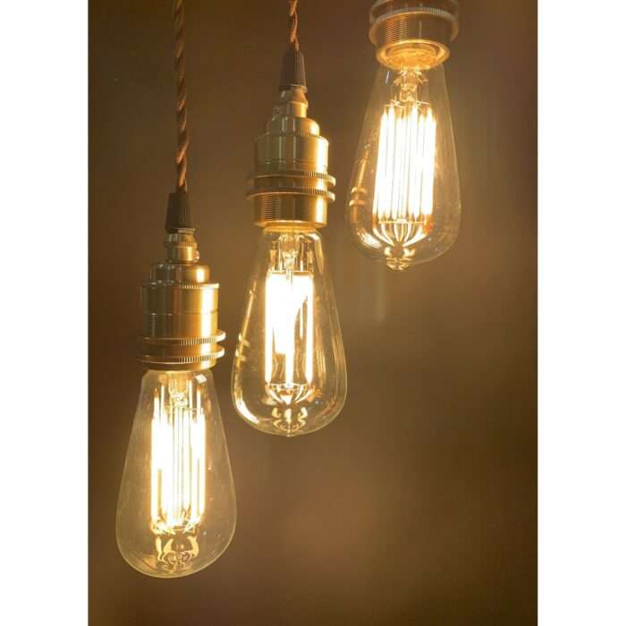 Vintage Industrial Filament LED 6W Light LONG Lamps Bulb Squirrel Cage Edison A+ - Image 2